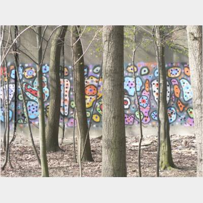 Grafitti im Wald