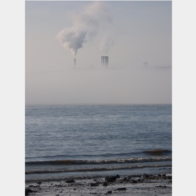 Nebel auf der Elbe