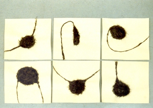 Haare in Zellform
