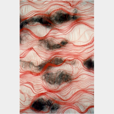 rotes Netz